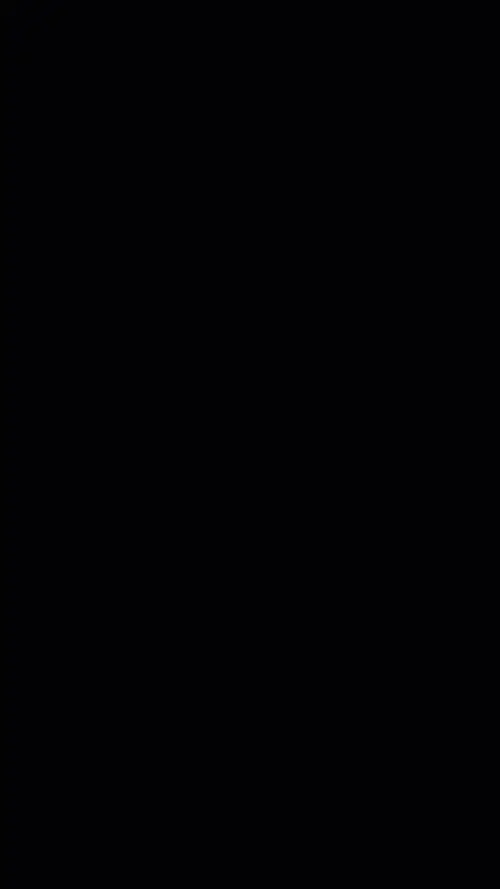 PETIRNUSA.webp